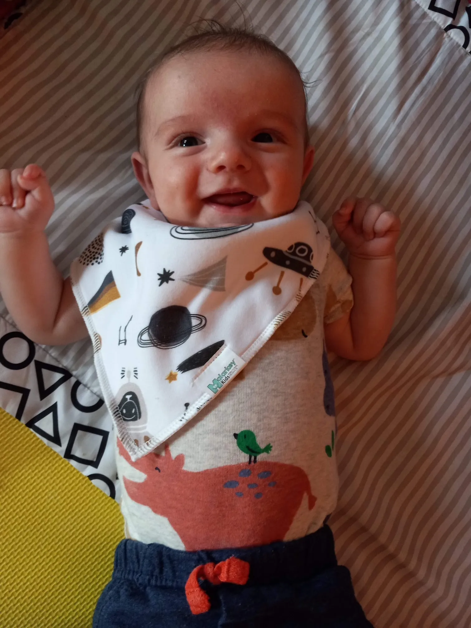 Dribble Bib - Cactus Banana/Green