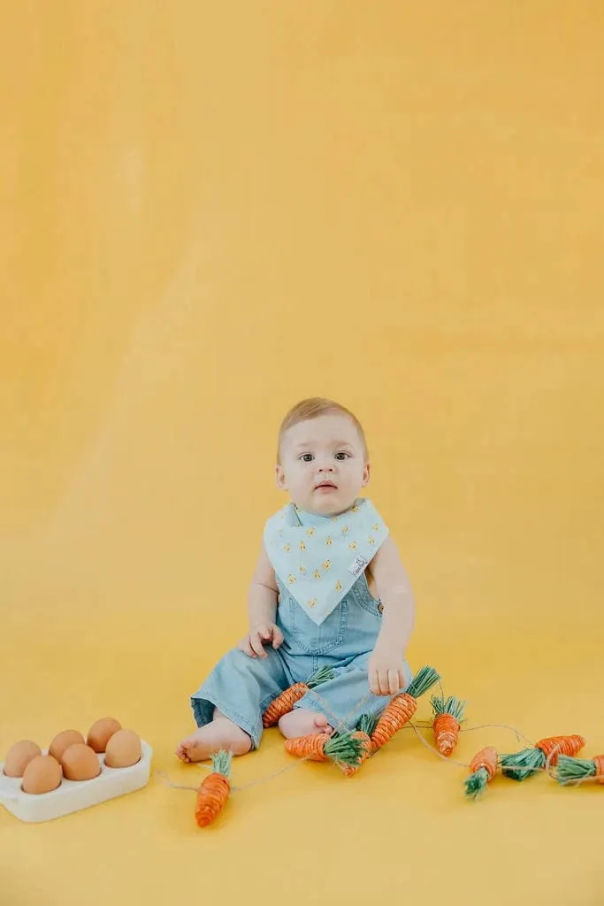 Peter Bandana Bibs