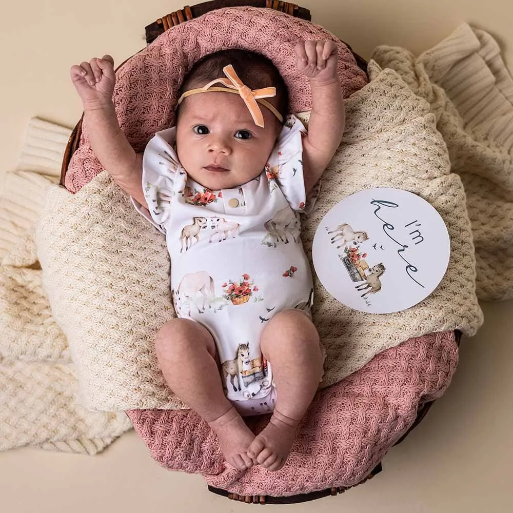 Snuggle Hunny - Organic Short Sleeve Bodysuit with Frill - Pony Pals